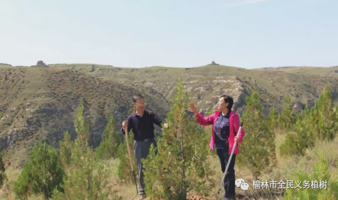 图文