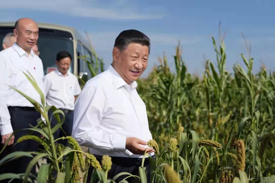 图文