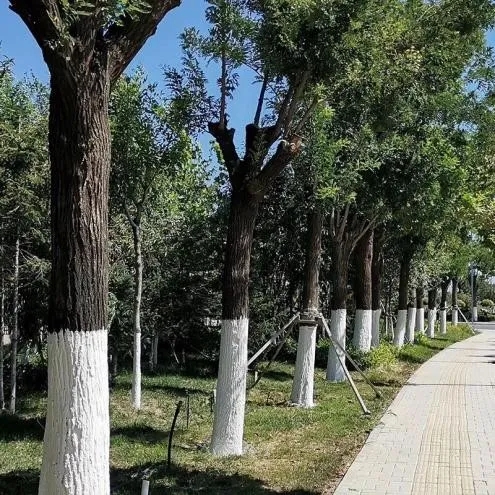 图文