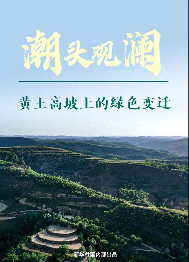 图文