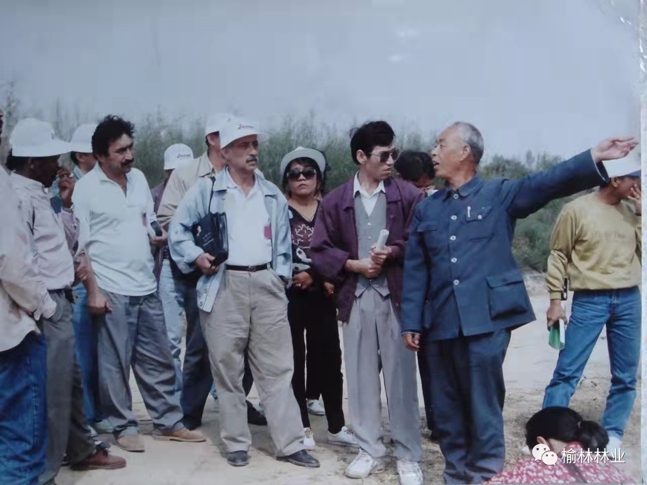 图文