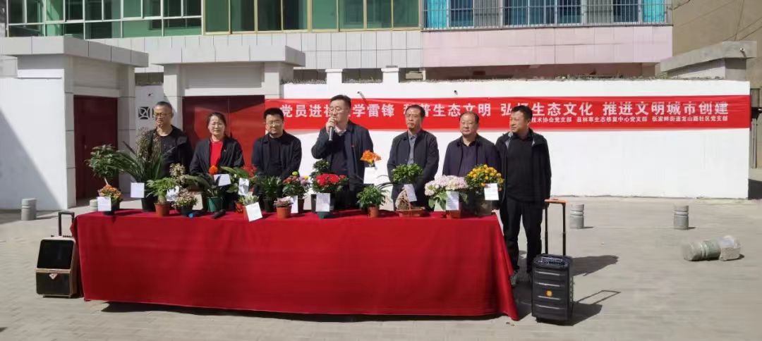 图文